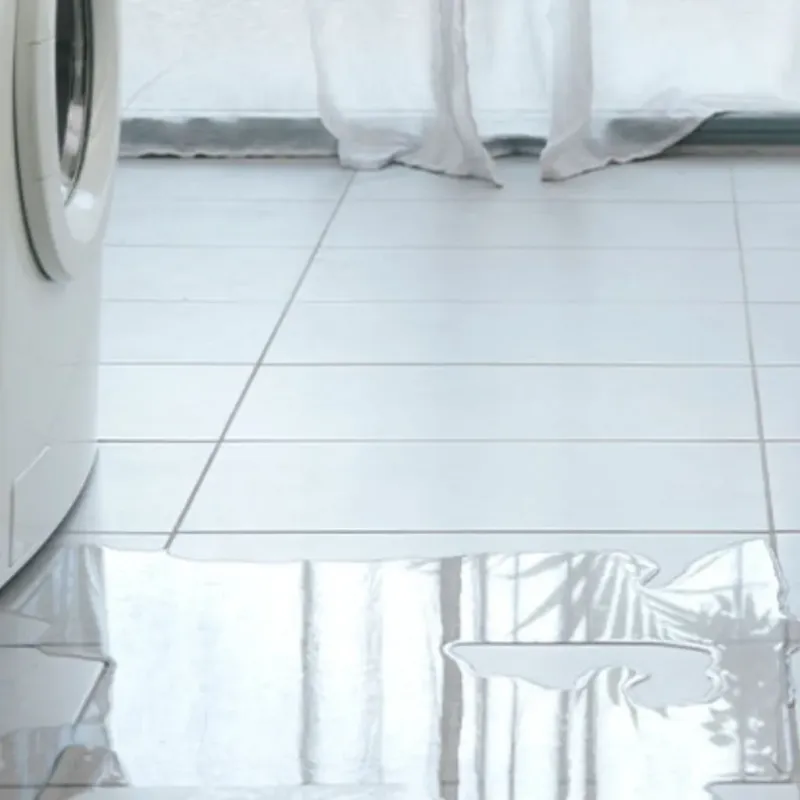 Appliance Leak Cleanup in Pioneer, CA
