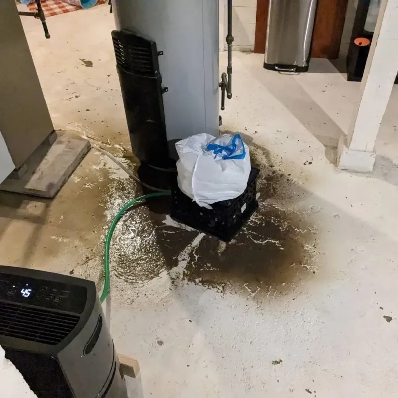 Sewage Backup Cleanup Service in Pioneer, CA